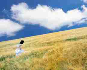 php开‍发﻿实﻿战‍权‌威‌指‍南‍